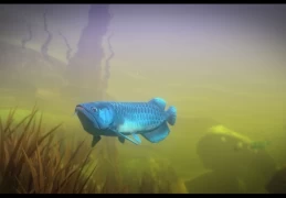 海底大猎杀 Feed and Grow Fish v.14.3 PC平台 中文免安装版 绿色启动器