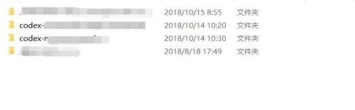 【游戏安装】RUNE版本 CODEX篇