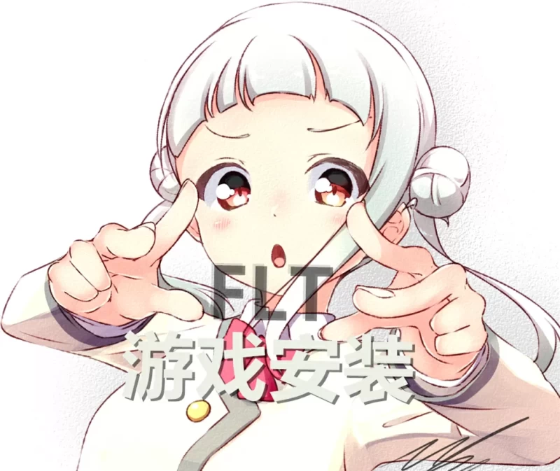 【游戏安装】FLT篇,解压安装教程一览