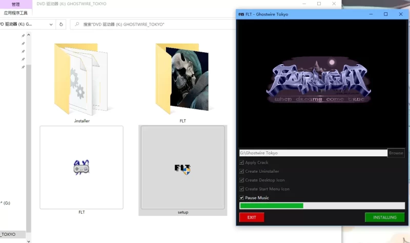 【游戏安装】FLT篇,解压安装教程一览