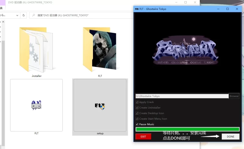 【游戏安装】FLT篇,解压安装教程一览