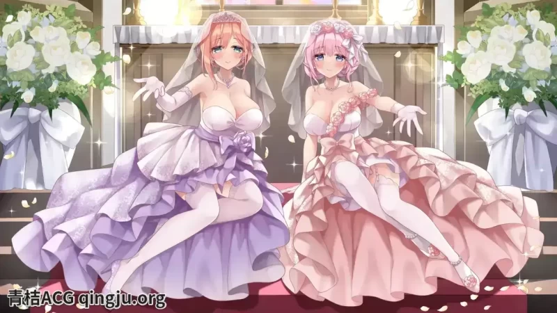 姐姐妹妹的家庭喜剧 跨平台恋爱AVG体验优化版 资源获取 安装指南