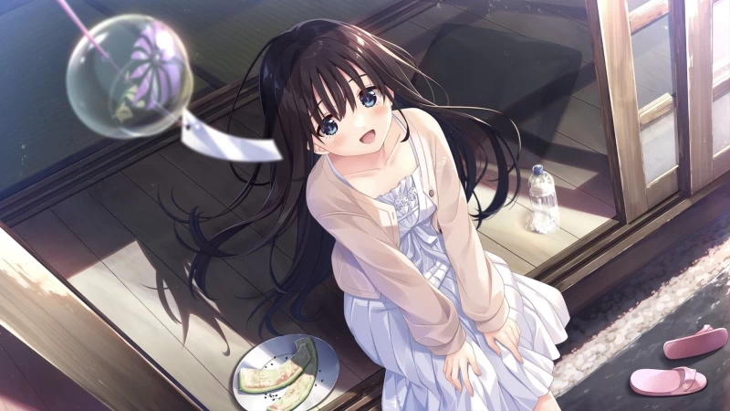 Sickly Days and Summer Traces 游戏资源 PC版