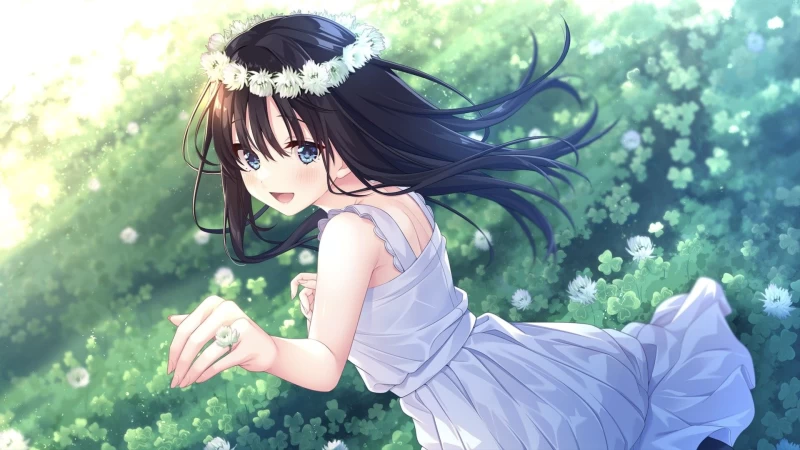 Sickly Days and Summer Traces 游戏资源 PC版