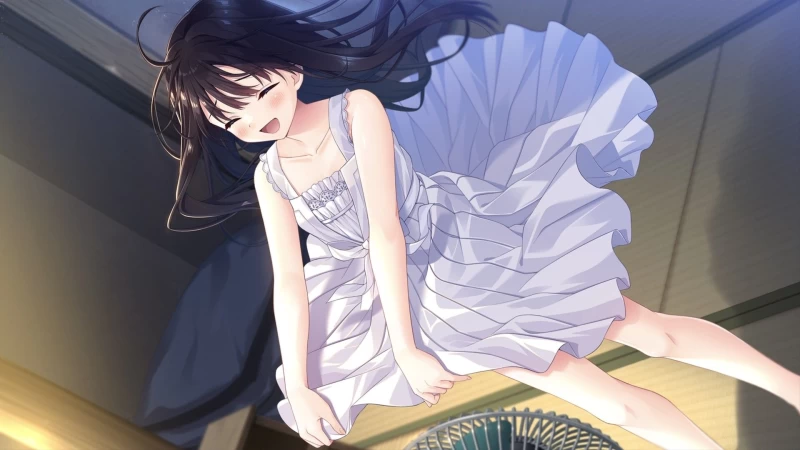 Sickly Days and Summer Traces 游戏资源 PC版